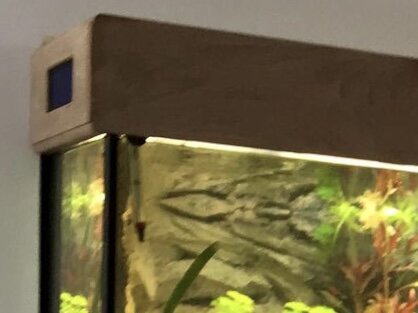 Maatwerk aquarium bekleding